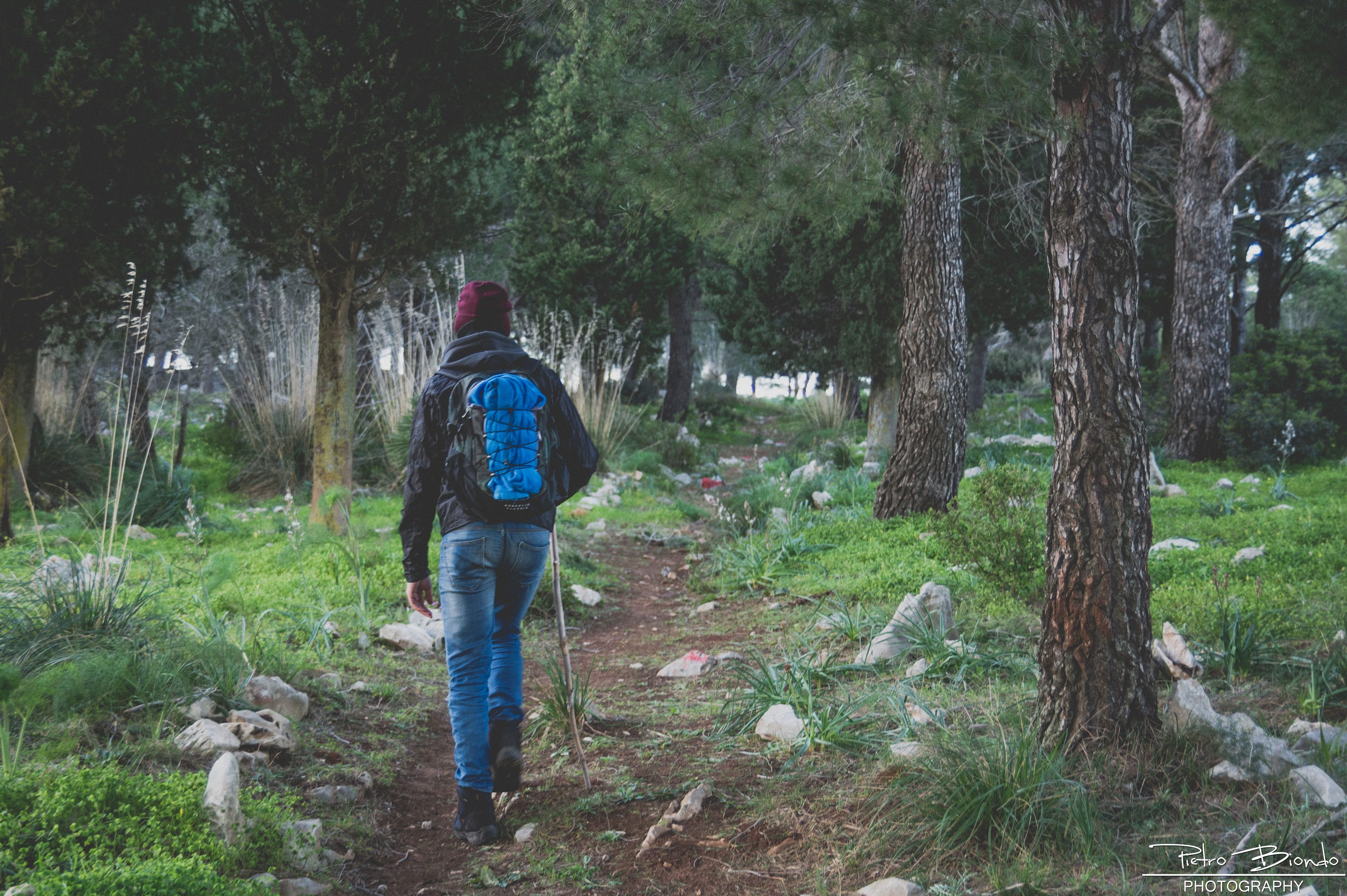 Walking in the wilderness 